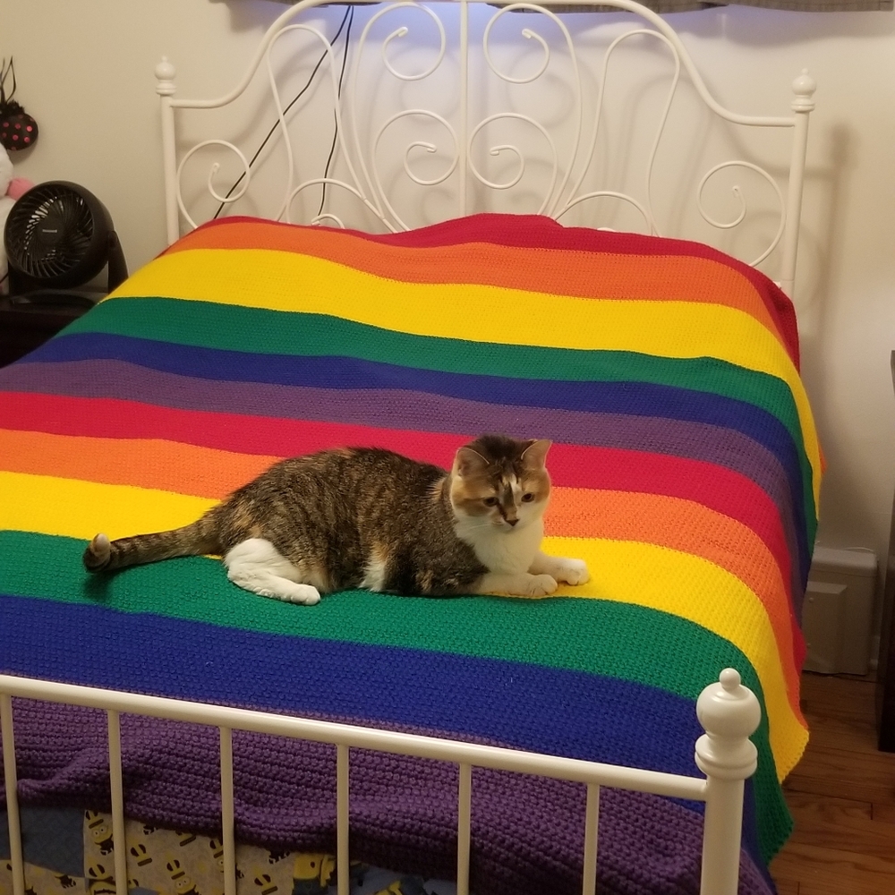 Hand Crocheted Rainbow Afghan/blanket